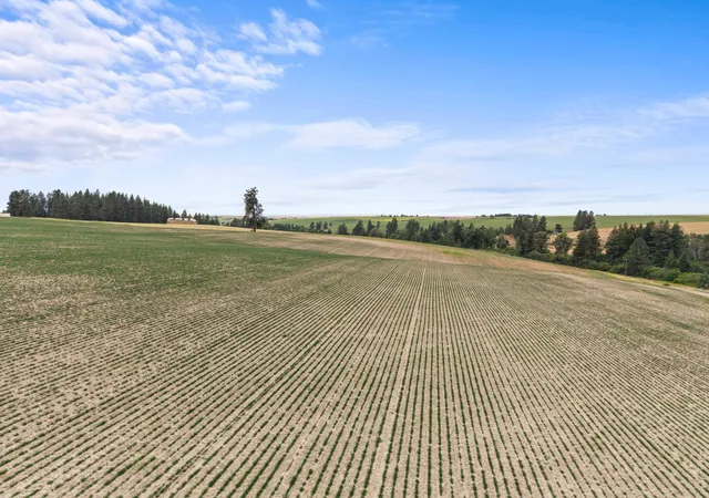 2nd image of Xxxx E Toll Rd, Rockford, WA 99030 | MLS# 202621236
