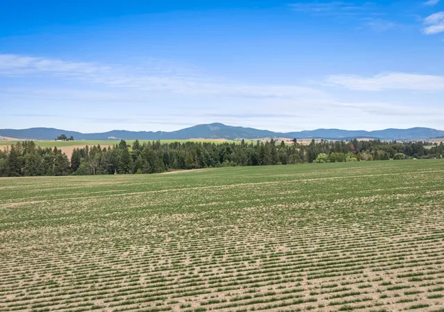 3rd image of Xxxx E Toll Rd, Rockford, WA 99030 | MLS# 202621236