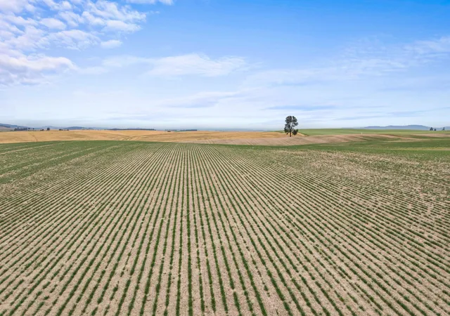 4th image of Xxxx E Toll Rd, Rockford, WA 99030 | MLS# 202621236