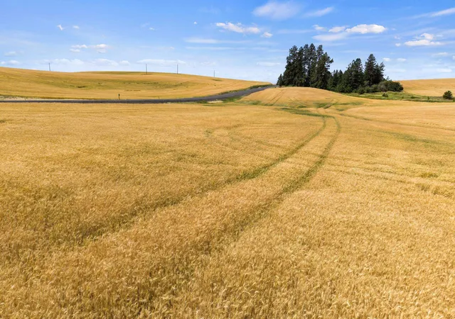 17th image of Xxxx S Sr 27 Hwy, Rockford, WA 99030 | MLS# 202621237