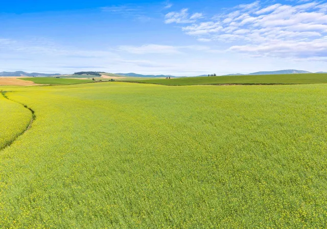 16th image of Xxxx S Harvard Rd, Fairfield, WA 99012 | MLS# 202621238