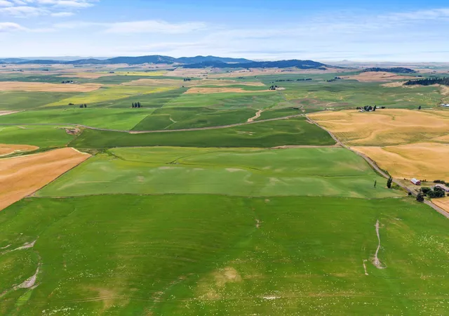 Photo 3 of Land for sale at Xxxx S Harvard Rd, Fairfield, WA 99012 | MLS# 202621238 | Listing updated on 2026-07-27