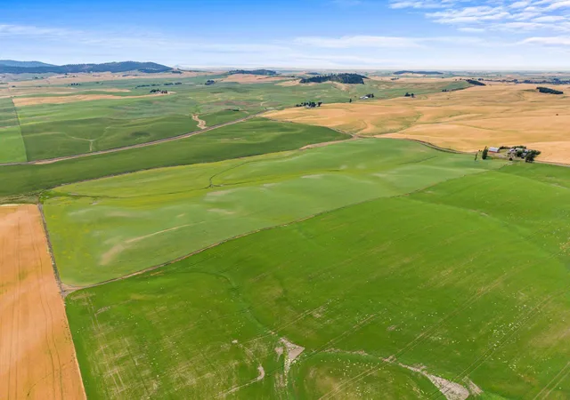 Photo 4 of Land for sale at Xxxx S Harvard Rd, Fairfield, WA 99012 | MLS# 202621238 | Listing updated on 2026-07-27