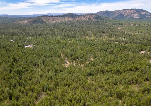 5th image of 3948 Agar Rd Lot 1 Rd, Loon Lake, WA 99148 | MLS# 202621252