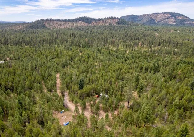 Photo 4 of Land for sale at 3948 Agar Rd Lot 2, Loon Lake, WA 99148 | MLS# 202621253 | Listing updated on 2026-09-16