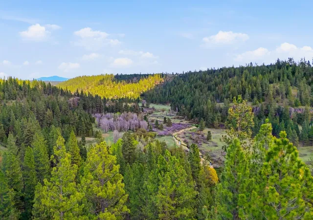Photo 1 of Land for sale at 00 N Chris Ln, Medical Lake, WA 99022 | MLS# 202621271 | Listing updated on 2026-07-27