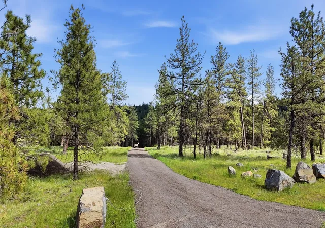 Photo 2 of Land for sale at 00 N Chris Ln, Medical Lake, WA 99022 | MLS# 202621271 | Listing updated on 2026-07-27