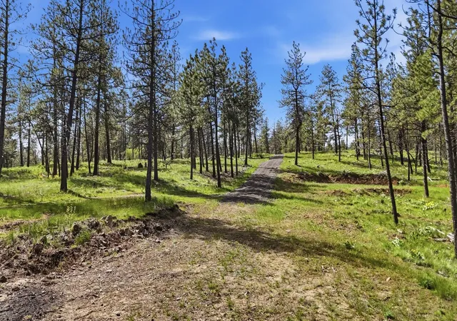 Photo 3 of Land for sale at 00 N Chris Ln, Medical Lake, WA 99022 | MLS# 202621271 | Listing updated on 2026-07-27