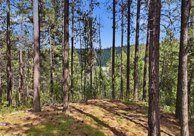 Photo 3 of Land for sale at 00 N Chris Ln, Medical Lake, WA 99022 | MLS# 202621271 | Listing updated on 2026-07-27