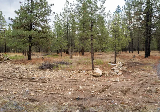 Photo 3 of Land for sale at 52282 Woods Ln, Ford, WA 99013 | MLS# 202621296 | Listing updated on 2026-07-28