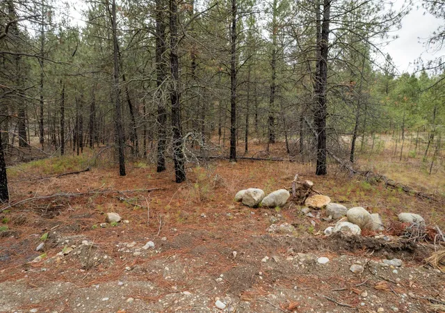 Photo 3 of Land for sale at 52282 Woods Ln, Ford, WA 99013 | MLS# 202621296 | Listing updated on 2026-07-28
