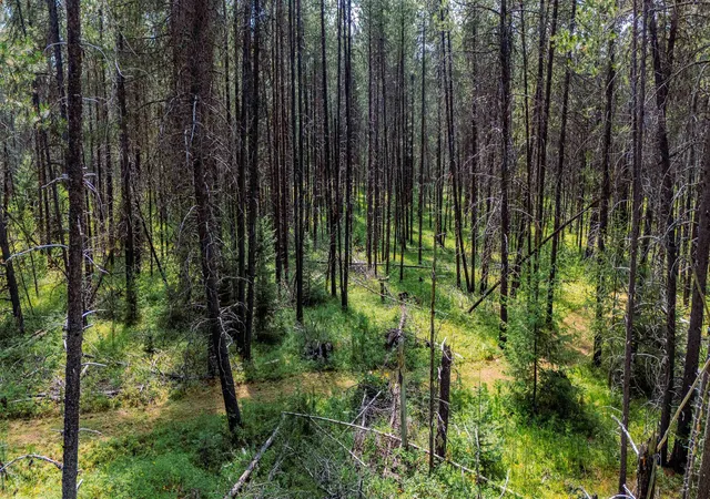 Photo 2 of Land for sale at Nka Seadog Ln, Newport, WA 99156 | MLS# 202621304 | Listing updated on 2026-10-07