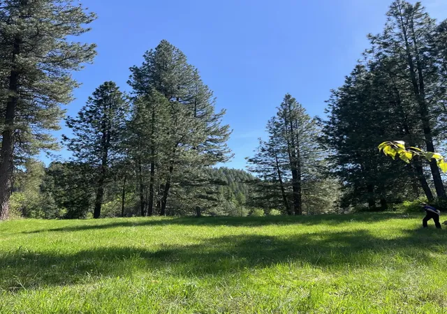 Photo 3 of Land for sale at 361 Dilling Dr, Cusick, WA 99119 | MLS# 202621473 | Listing updated on 2026-07-31