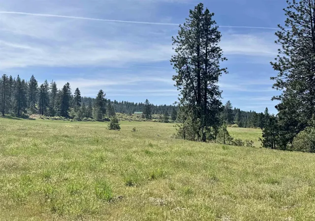 Photo 3 of Land for sale at 31625 E Hume Rd, Davenport, WA 99122 | MLS# 202621482 | Listing updated on 2026-07-31