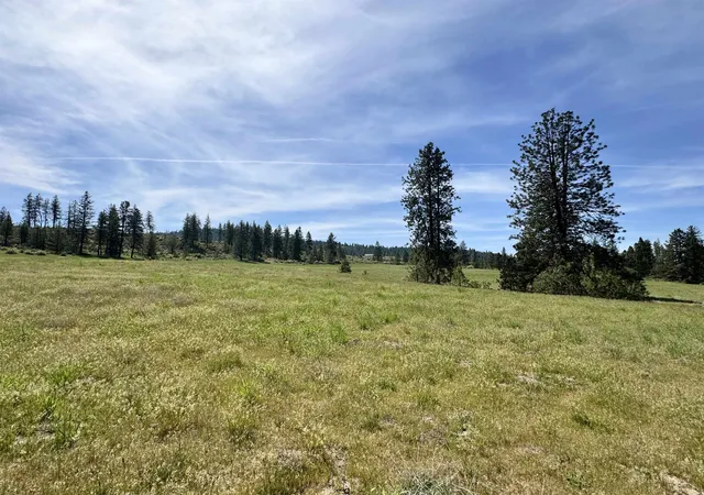 Photo 3 of Land for sale at 31625 E Hume Rd, Davenport, WA 99122 | MLS# 202621482 | Listing updated on 2026-07-31