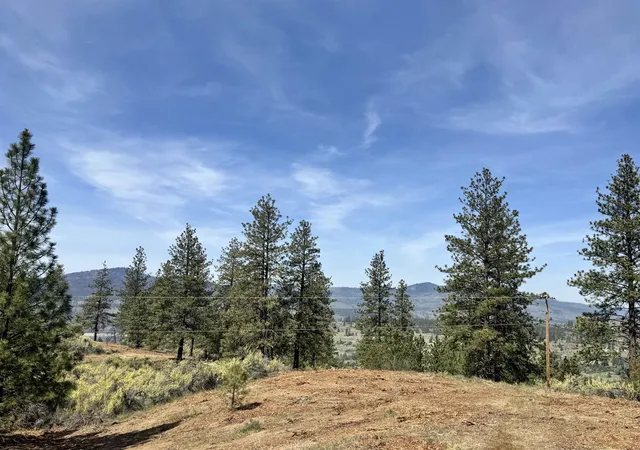 Photo 4 of Land for sale at 31625 E Hume Rd, Davenport, WA 99122 | MLS# 202621482 | Listing updated on 2026-07-31