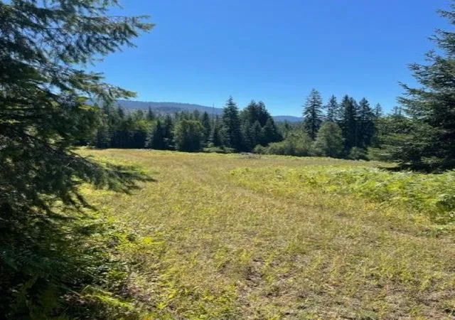 Photo 4 of Land for sale at 3xx N Lot 11 Leclerc Rd, Ione, WA 99139 | MLS# 202621497 | Listing updated on 2026-07-31