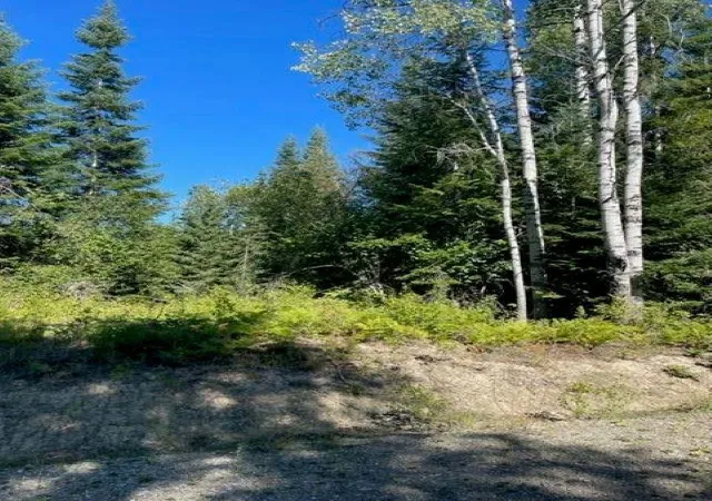Photo 3 of Land for sale at 3xx N Lot 13 Leclerc Rd, Ione, WA 99139 | MLS# 202621501 | Listing updated on 2026-07-31