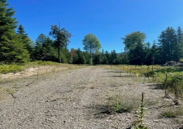 Photo 2 of Land for sale at 3xx N Lot 14 Leclerc Rd, Ione, WA 99139 | MLS# 202621505 | Listing updated on 2026-07-31