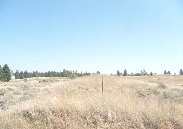 Photo 11 of Land for sale at W 0000 Williams Lake Rd, Cheney, WA 99004 | MLS# 202621531 | Listing updated on 2026-07-31