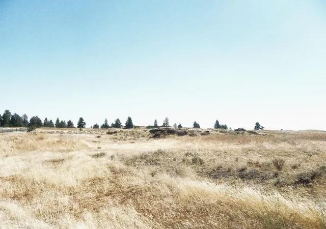 Photo 2 of Land for sale at W 0000 Williams Lake Rd, Cheney, WA 99004 | MLS# 202621531 | Listing updated on 2026-07-31