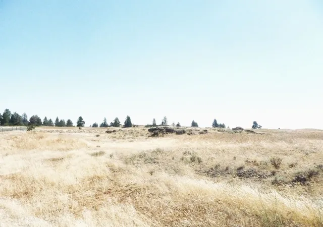 Photo 3 of Land for sale at W 0000 Williams Lake Rd, Cheney, WA 99004 | MLS# 202621531 | Listing updated on 2026-07-31