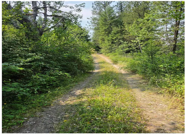 Photo 3 of Land for sale at Nna Hwy 20 & Mc Cloud Crk Rd, Newport, WA 99156 | MLS# 202621555 | Listing updated on 2026-08-25
