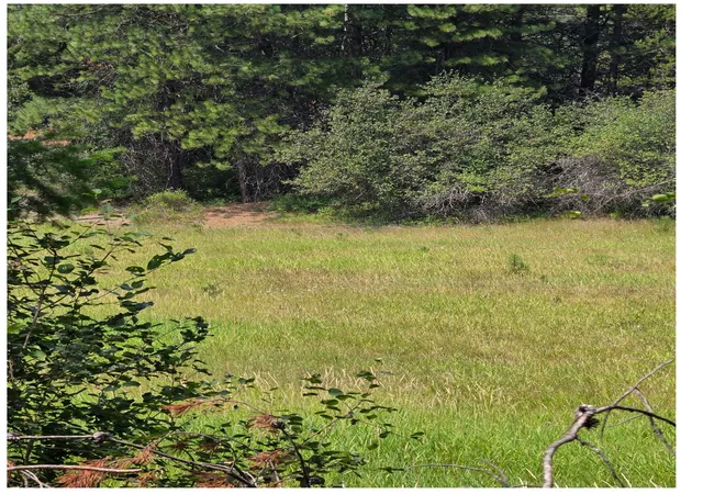 9th image of Nna Hwy 20 & Mc Cloud Creek Rd, Newport, WA 99156 | MLS# 202621555