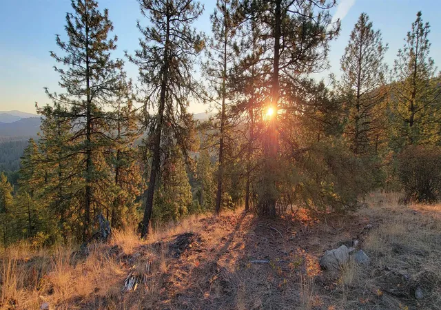 Photo 3 of Land for sale at 5300 Moose Tracks Way, Fruitland, WA 99129 | MLS# 202621588 | Listing updated on 2026-08-01