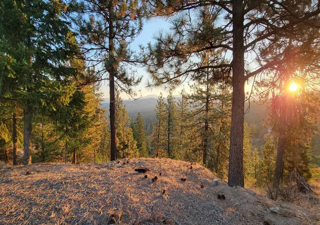 Photo 3 of Land for sale at 5300 Moose Tracks Way, Fruitland, WA 99129 | MLS# 202621588 | Listing updated on 2026-08-01