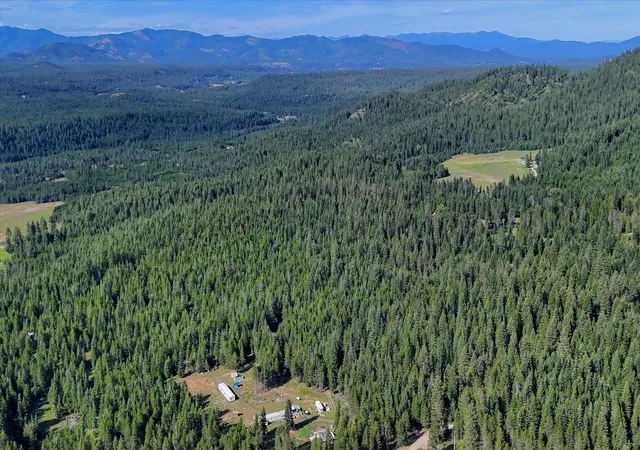 2nd image of 592 Doe Meadows Rd, Newport, WA 99156 | MLS# 202621589