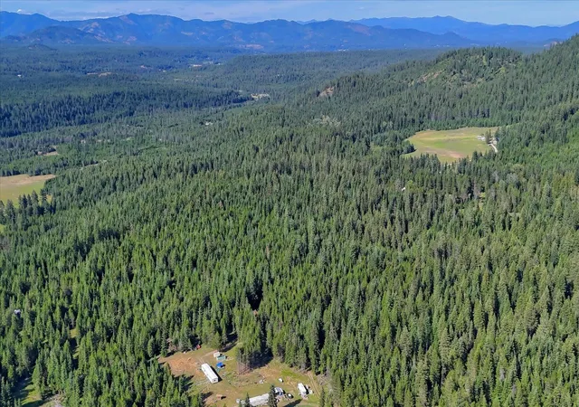 41st image of 592 Doe Meadows Rd, Newport, WA 99156 | MLS# 202621589