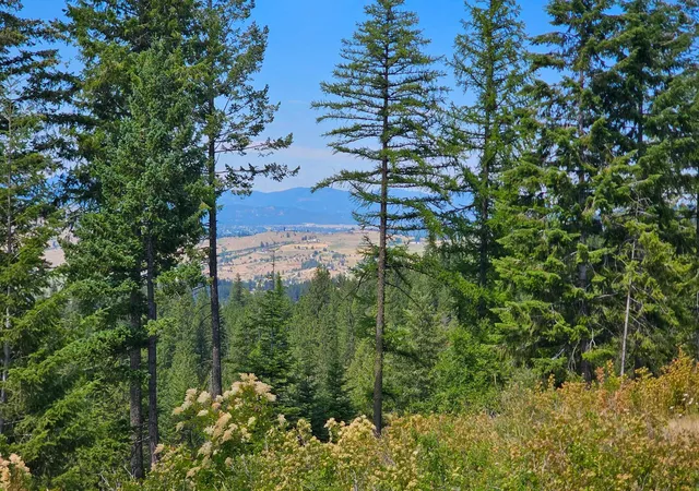 1st image of Nka E Belmont Rd, Mica, WA 99023 | MLS# 202621590