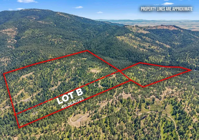 16th image of Nka E Belmont Rd, Mica, WA 99023 | MLS# 202621590