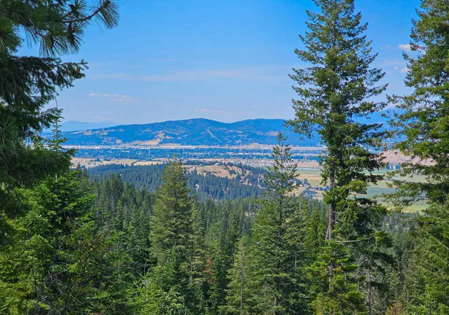 3rd image of Nka E Belmont Rd, Mica, WA 99023 | MLS# 202621590