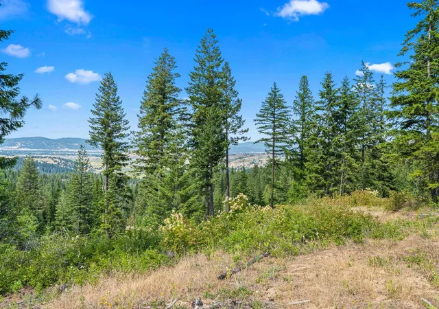 4th image of Nka E Belmont Rd, Mica, WA 99023 | MLS# 202621590