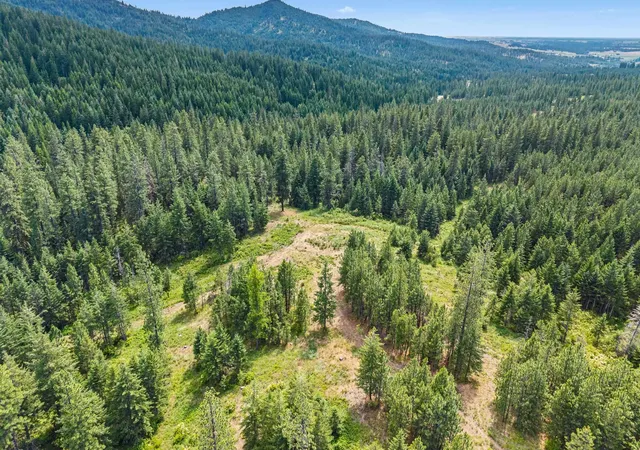 5th image of Nka E Belmont Rd, Mica, WA 99023 | MLS# 202621590