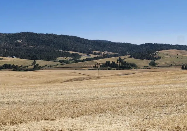 2nd image of Jackson S 8006 Rd, Mica, WA 99023 | MLS# 202621632