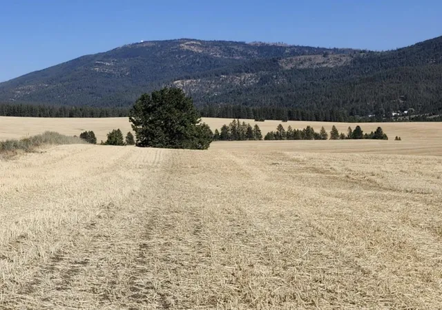 Photo 3 of Land for sale at Jackson S 8006 Road, Mica, WA 99023 | MLS# 202621632 | Listing updated on 2026-08-03
