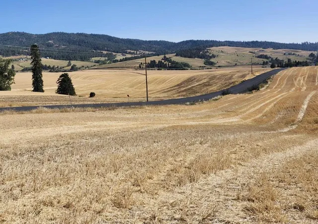 Photo 3 of Land for sale at Jackson S 8006 Road, Mica, WA 99023 | MLS# 202621632 | Listing updated on 2026-08-03