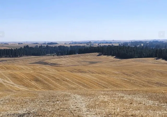 Photo 4 of Land for sale at Jackson S 8006 Road, Mica, WA 99023 | MLS# 202621632 | Listing updated on 2026-08-03