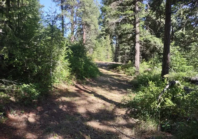 31st image of 32 Granite Ct, Newport, WA 99156 | MLS# 202621633