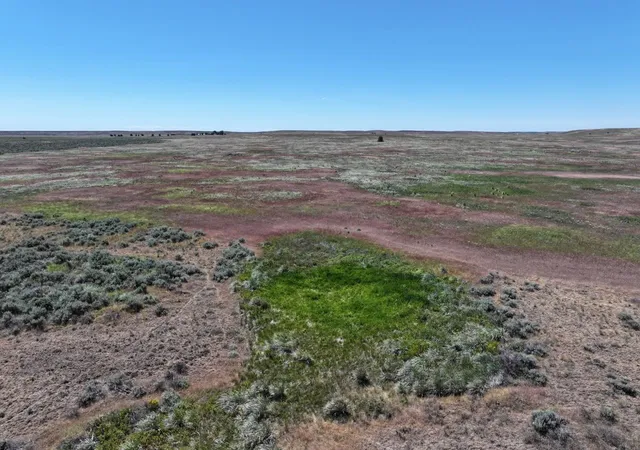 4th image of Lot 1 Hepler Large Lot Division Rd, Davenport, WA 99122 | MLS# 202621636
