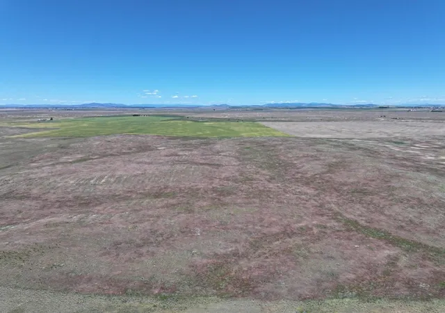 5th image of Lot 1 Hepler Large Lot Division Rd, Davenport, WA 99122 | MLS# 202621636