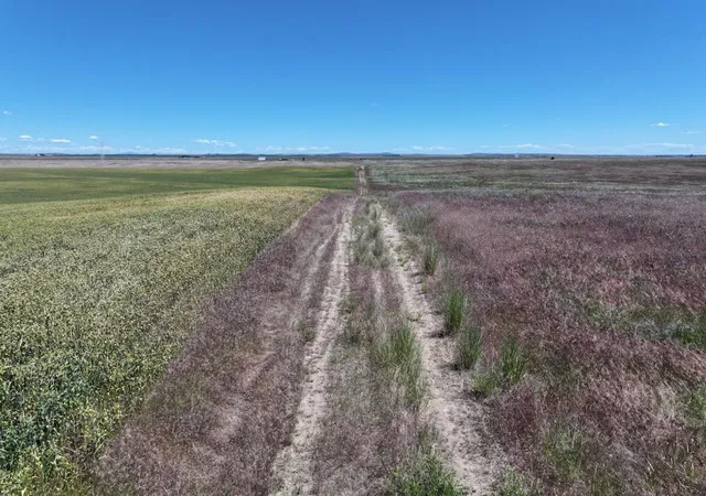 Photo 4 of Land for sale at Lot 3 Hepler Large Lot Division Rd, Davenport, WA 99122 | MLS# 202621638 | Listing updated on 2026-09-03