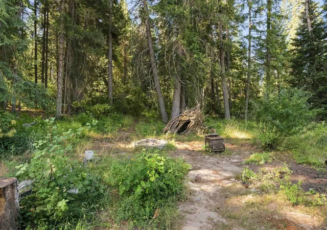 Photo 48 of Sale Pending at 2132 Nicholson Rd, Elk, WA 99009 | MLS# 202621655 | Listing updated on 2026-08-28