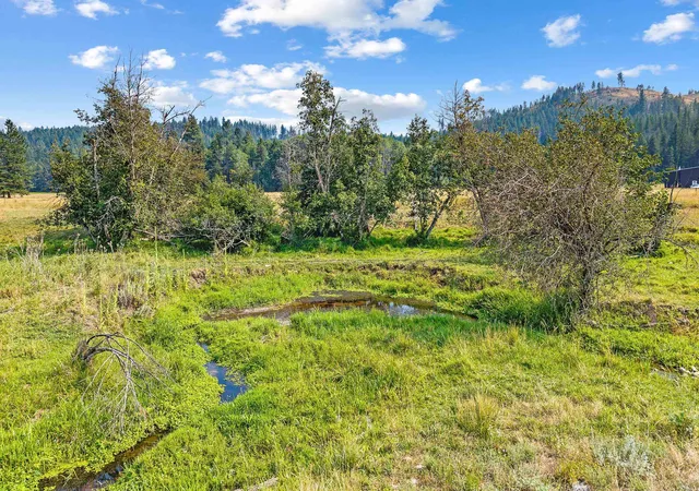 50th image of 2228 Blue Creek Rd, Addy, WA 99101 | MLS# 202621658