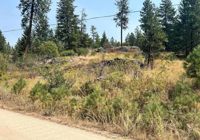 Land for sale at 5687x Corkscrew Cyn Rd, Tumtum, WA 99034 | MLS# 202621708