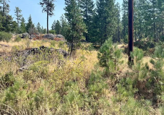 Photo 2 of Land for sale at 5687x Corkscrew Cyn Rd, Tumtum, WA 99034 | MLS# 202621708 | Listing updated on 2026-08-20