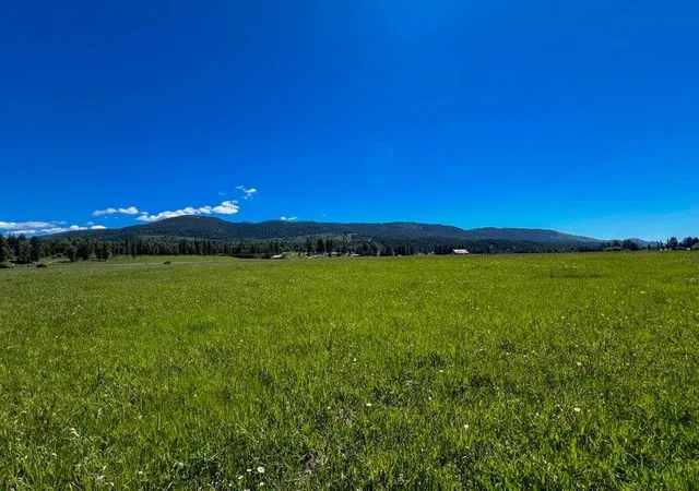 Photo 3 of Land for sale at Lot N 17 Reflection Dr, Ione, WA | MLS# 202621731 | Listing updated on 2026-08-07
